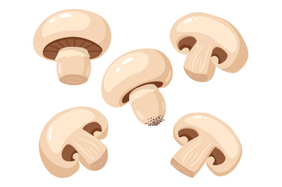 Cartoon champignon. Edible tasty ripe mushroom slices, delicious raw c