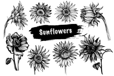 Sunflower SVG Bundle.