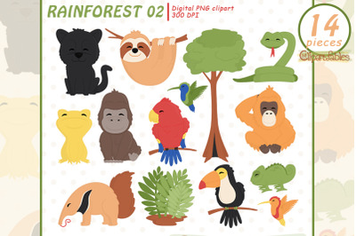 Cute RAINFOREST ANIMALS clipart, Wild animals clip art, Jungle