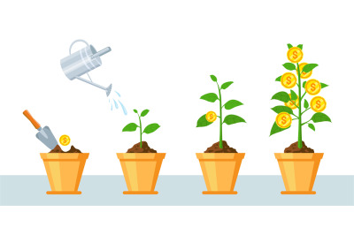 Money tree in pot. Finance profit growth infographic with stages of pl