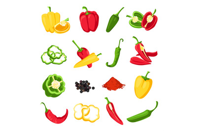 Pepper and paprika. Red, green and yellow sweet, hot and spicy peppers