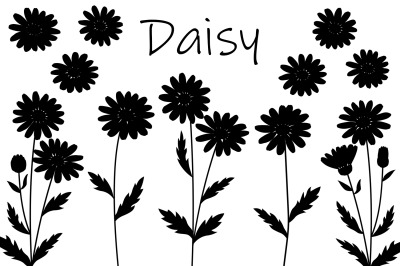 Daisy silhouettes. Daisy SVG. Flowers silhouettes SVG