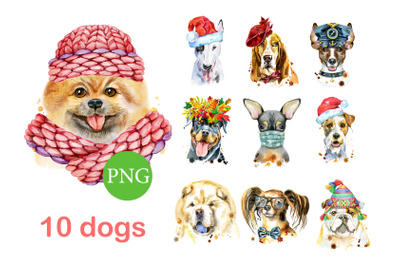 10 watercolor dog portraits