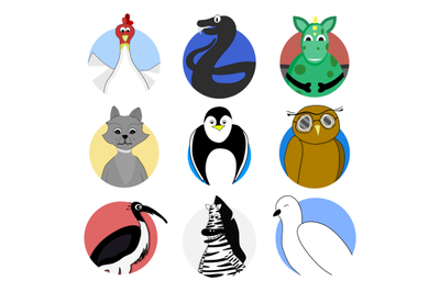 Pigeon and chicken sticker, bird hen avatar, avatar animal