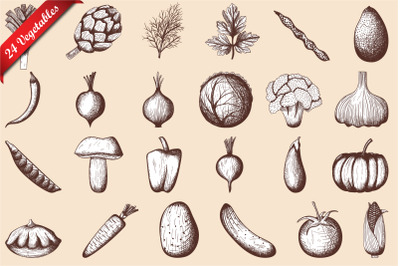 24 Vegetables Hand Drawn Sketch