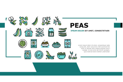 Peas Beans Vegetable Landing Header Vector