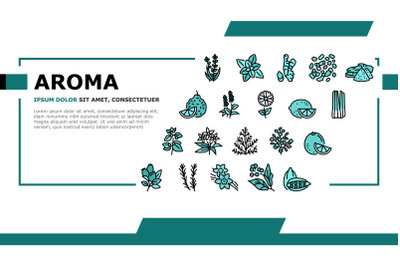 Aromatherapy Herbs Landing Header Vector