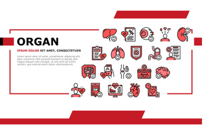 Organ Donation Medical Landing Header Vector