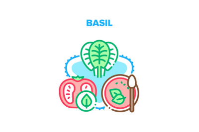 Basil Spice Vector Concept Color Illustration