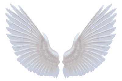 dove wings hand painting vector