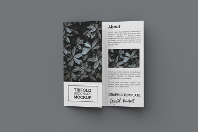 Trifold Brochure Mockup