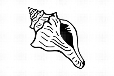 conch shell svg and png clipart