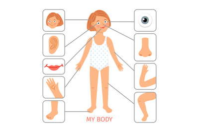 Girl body parts. Preschool female child body parts cartoon vector illu