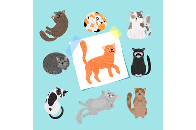 Shorthaired cats illustration. Cartoon cat collection on blue backgrou