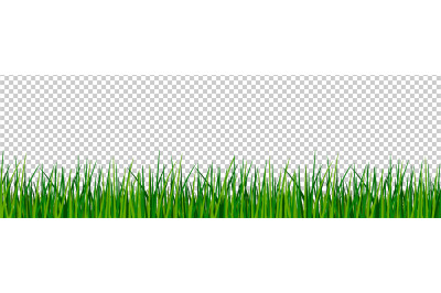 Green grass border