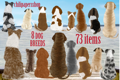 Dogs clipart,Dog Breeds Clipart,Pets Illustrations,Puppies