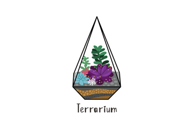 Succulents in terrarium