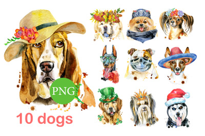 10 watercolor dog portraits 3