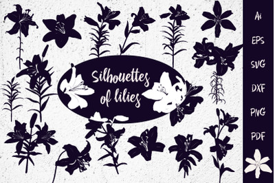 Set of lily flowers in silhouettes. SVG