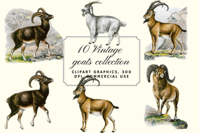 Vintage Goats Illustration, Farmhouse Wall Art