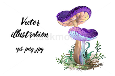 Two Purple Mushrooms