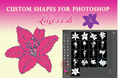 Lily flowers. Custom shapes for Photoshop