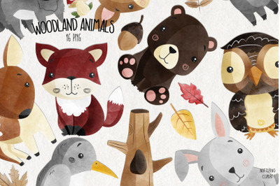 Watercolor Baby Woodland Animals Clipart | Set of 16