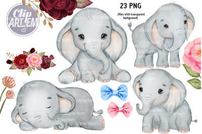 23  Watercolor Clip Art Unisex Elephant PNG Bundle
