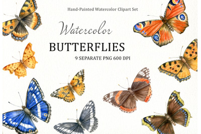 Watercolor hand drawn european butterflies clipart