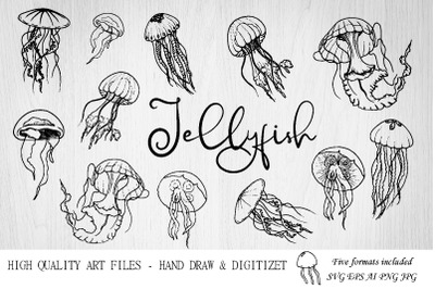 Jellyfish SVG.Ocean svg.Under the sea. Jellyfish clipart