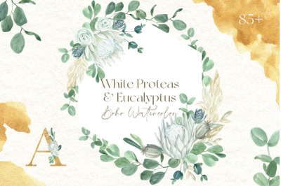 White Proteas &amp; Eucalyptus Boho Watercolor Set