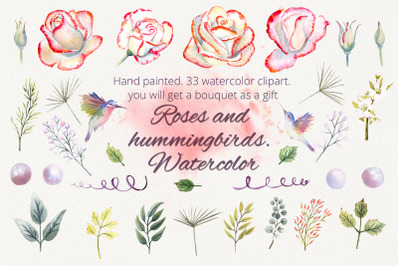 Roses and hummingbirds. Watercolor clipart