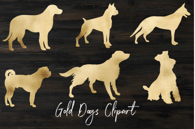 Gold dogs clipart