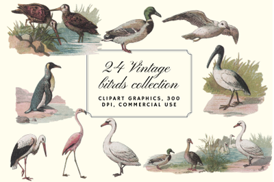 Vintage Farmhouse Birds, Duck, Stork, Pink Flamingo