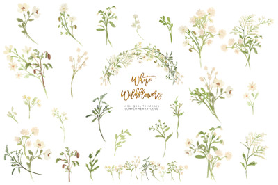 White Wildflowers watercolor clipart, greeting cards, Floral clipart