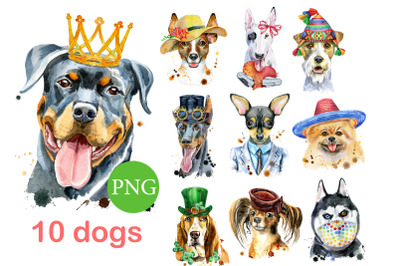 10 watercolor dog portraits 4