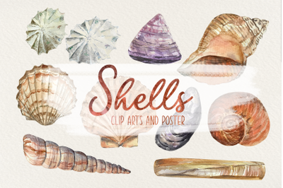 Shells Clip Arts and Poster