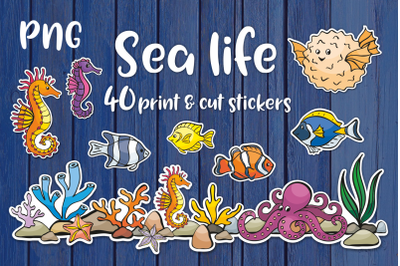 Sea life printable stickers bundle PNG
