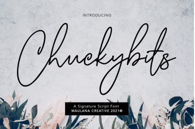 Chuckybits Fancy Signature Script Font