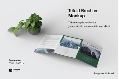 Trifold Brochure Mockup