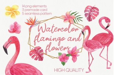 Watercolor flamingo and flowers set