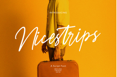 Nicestrips Fancy Script Font