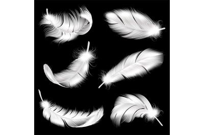 White feathers realistic set. Falling fluffy twirled bird plume in dif