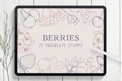 Berries Procreate Stamp Brushes