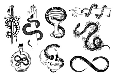 Snakes tattoo. Occult snake wrapped around hand&2C; skull&2C; dagger&2C; bowl a