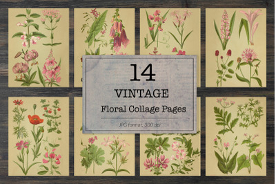 Vintage field flowers