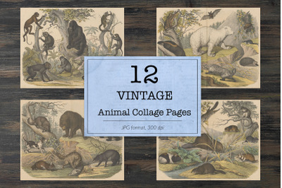 Vintage animals, ephemera classics