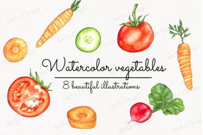 Watercolor Vegatables, Handpainted Carrot, Tomato, Radish, Cucumber