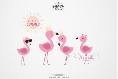 Flamingo SVG - Flamingo Bundle SVG - Cute Summer SVG