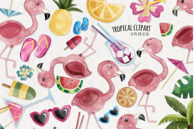 Watercolor Flamingo Clipart | Set of 38 | PNG Clip Art